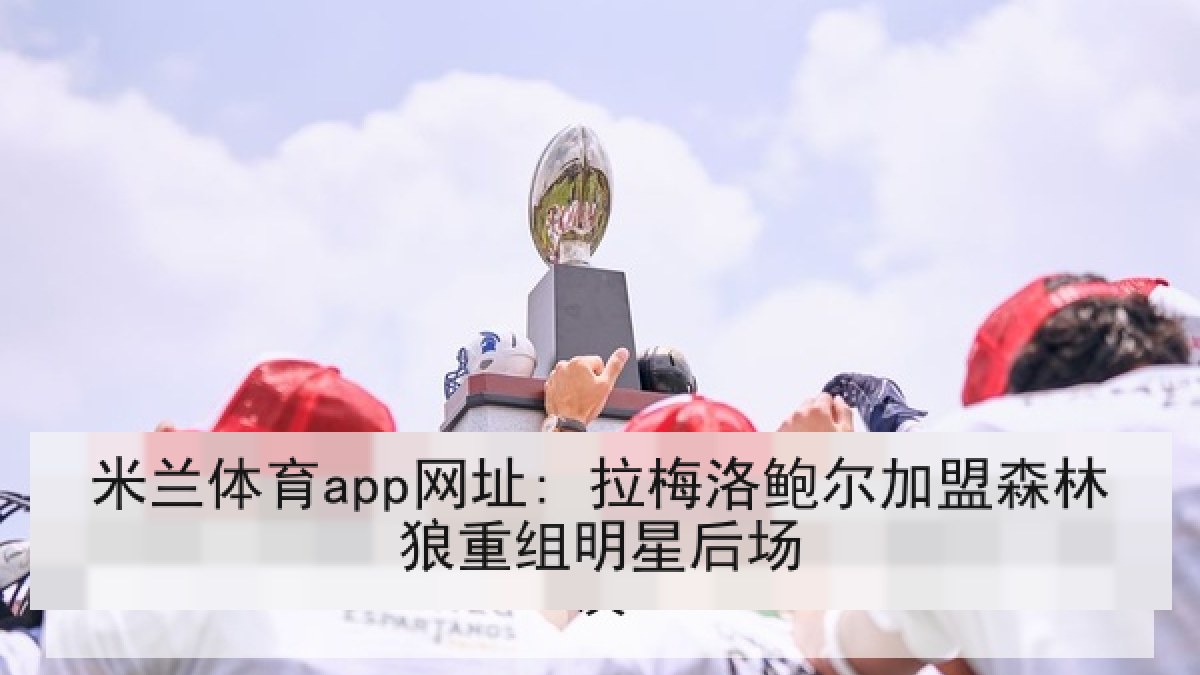 米兰体育app网址: 拉梅洛鲍尔加盟森林狼重组明星后场 米兰体育app网址: 拉梅洛鲍尔加盟森林狼重组明星后场