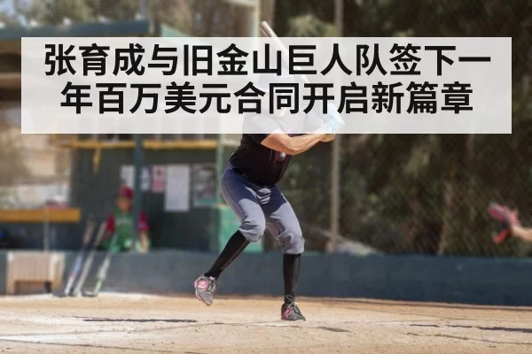 张育成与旧金山巨人队签下一年百万美元合同开启新篇章